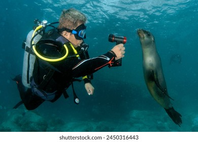 深入解析万博manbetx手机网页登录的安全性与便捷性