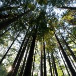 5949开奖直播现场2333全程高清实况火热播报 3qvdyep