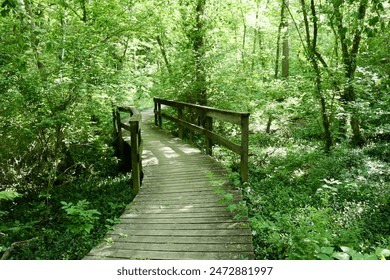 深入解析中信国际的业务布局与市场战略