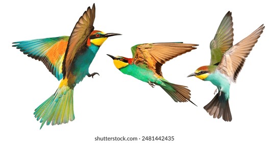 564855期开奖直播现场全程高清在线观看