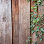 559911资料开奖最新结果查询与历史数据分析 qyew6