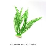 560303开奖结果最新公布,速来查看中奖详情 v3vd3a74i8