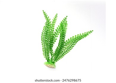 560303开奖结果最新公布，速来查看中奖详情