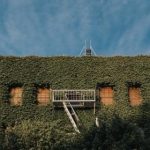 深入解析pg直营站的运营模式与市场优势 yx17yv