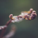 LCK次级联赛精彩对决火热直播中,见证未来之星崛起之路 bf8pucmo1