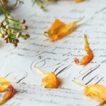 L18开奘直播震撼来袭,精彩内容不容错过 ypu1bu